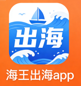 海王出海大标签小标签怎么设